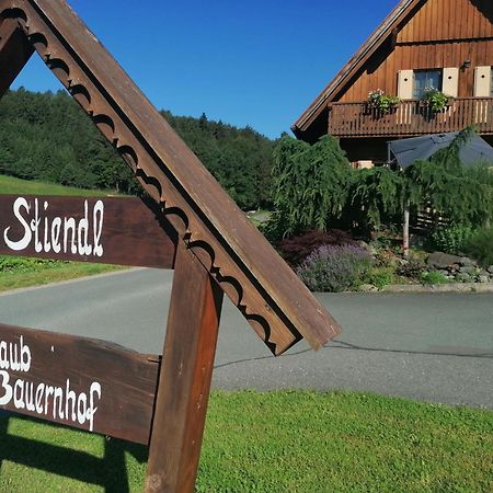 Villa Am Jaukhof Familie Stiendl à Neudorf im Sausal Extérieur photo