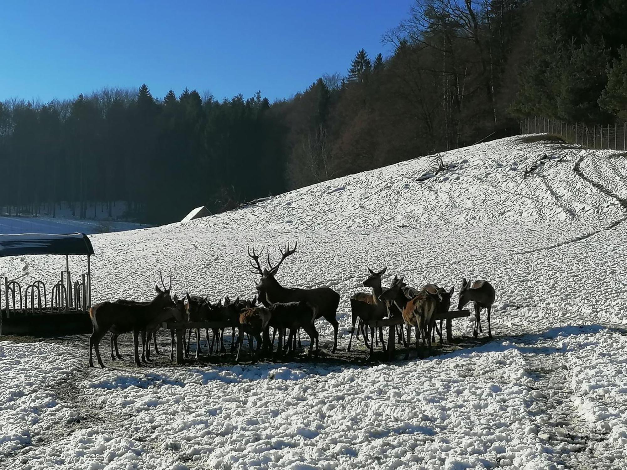 Villa Am Jaukhof Familie Stiendl à Neudorf im Sausal Extérieur photo